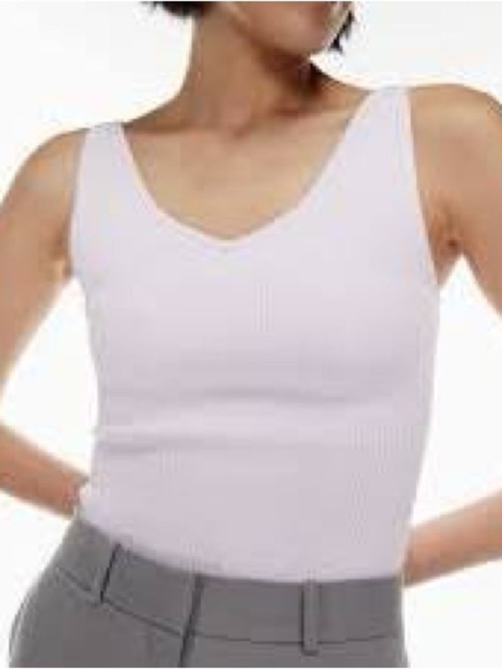 Aritzia Babaton sculpt knit vneck